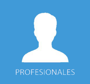 profesionales venta pagina web